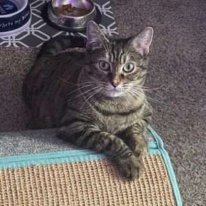 Meet your Posher, Aj